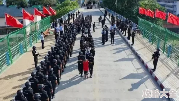 缅北在线观看www网站入口为什么拥有强大的社区互动功能为何如此流行